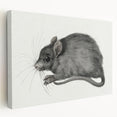 Gothic Wall Art - Vintage Mouse Illustration on Medieval Gothic Canvas