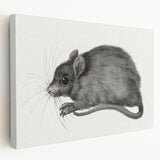 Gothic Wall Art - Vintage Mouse Illustration on Medieval Gothic Canvas