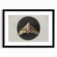 Grunge Aesthetic Art - Moth Canvas Print for Urban Grunge Decor