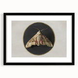 Grunge Aesthetic Art - Moth Canvas Print for Urban Grunge Decor