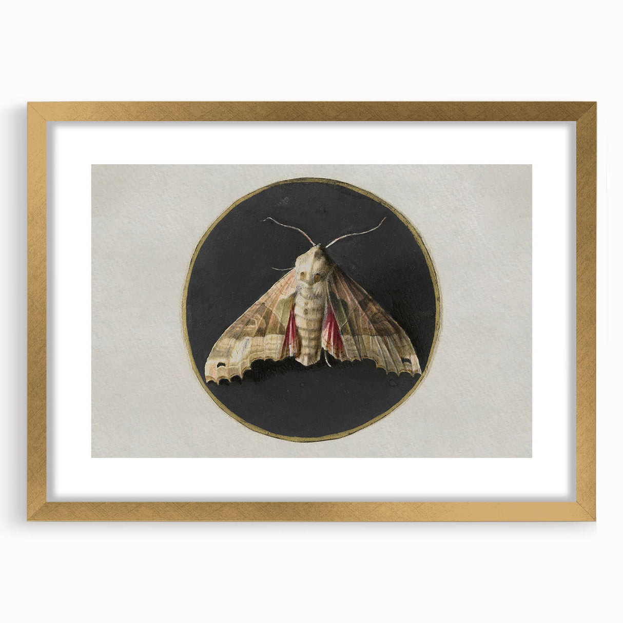 Grunge Aesthetic Art - Moth Canvas Print for Urban Grunge Decor
