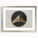 Grunge Aesthetic Art - Moth Canvas Print for Urban Grunge Decor