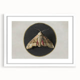 Grunge Aesthetic Art - Moth Canvas Print for Urban Grunge Decor