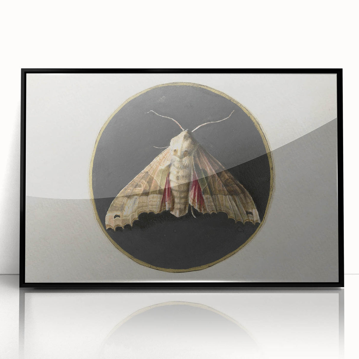Grunge Aesthetic Art - Moth Canvas Print for Urban Grunge Decor