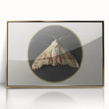 Grunge Aesthetic Art - Moth Canvas Print for Urban Grunge Decor