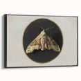 Grunge Aesthetic Art - Moth Canvas Print for Urban Grunge Decor