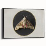Grunge Aesthetic Art - Moth Canvas Print for Urban Grunge Decor
