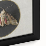 Grunge Aesthetic Art - Moth Canvas Print for Urban Grunge Decor