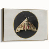 Grunge Aesthetic Art - Moth Canvas Print for Urban Grunge Decor