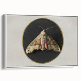 Grunge Aesthetic Art - Moth Canvas Print for Urban Grunge Decor