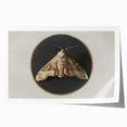 Grunge Aesthetic Art - Moth Canvas Print for Urban Grunge Decor