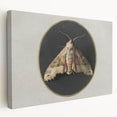 Grunge Aesthetic Art - Moth Canvas Print for Urban Grunge Decor