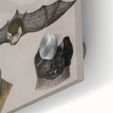 Vintage Bat Illustration - Abstract Grunge Aesthetic Art Canvas Print