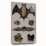 Vintage Bat Illustration - Abstract Grunge Aesthetic Art Canvas Print