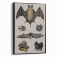Vintage Bat Illustration - Abstract Grunge Aesthetic Art Canvas Print