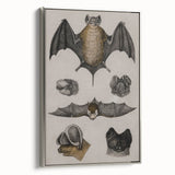 Vintage Bat Illustration - Abstract Grunge Aesthetic Art Canvas Print