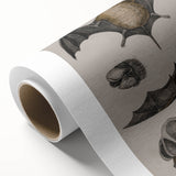 Vintage Bat Illustration - Abstract Grunge Aesthetic Art Canvas Print