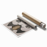 Vintage Bat Illustration - Abstract Grunge Aesthetic Art Canvas Print