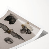 Vintage Bat Illustration - Abstract Grunge Aesthetic Art Canvas Print