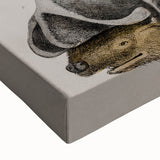 Vintage Bat Illustration - Abstract Grunge Aesthetic Art Canvas Print