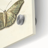 Blue and Beige Butterfly Grunge Art - Abstract Canvas Print Decor