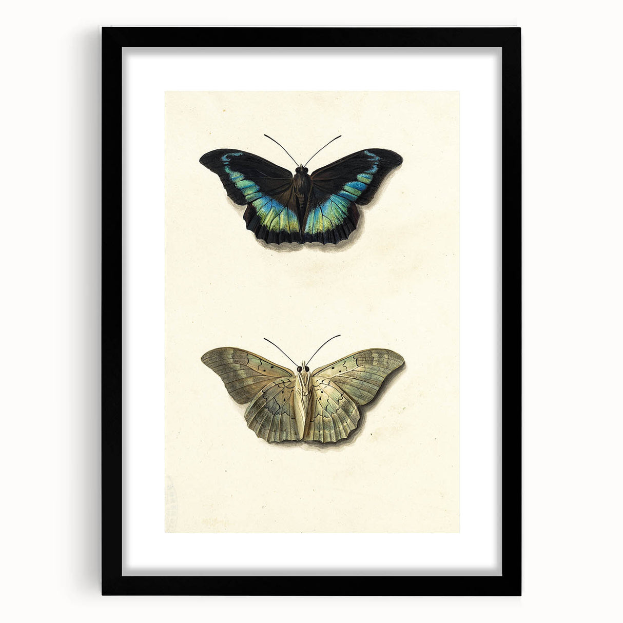 Blue and Beige Butterfly Grunge Art - Abstract Canvas Print Decor