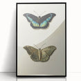 Blue and Beige Butterfly Grunge Art - Abstract Canvas Print Decor