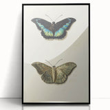 Blue and Beige Butterfly Grunge Art - Abstract Canvas Print Decor