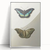 Blue and Beige Butterfly Grunge Art - Abstract Canvas Print Decor