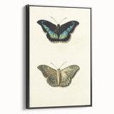 Blue and Beige Butterfly Grunge Art - Abstract Canvas Print Decor