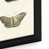 Blue and Beige Butterfly Grunge Art - Abstract Canvas Print Decor