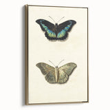 Blue and Beige Butterfly Grunge Art - Abstract Canvas Print Decor