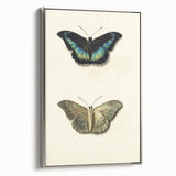 Blue and Beige Butterfly Grunge Art - Abstract Canvas Print Decor