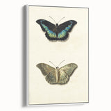 Blue and Beige Butterfly Grunge Art - Abstract Canvas Print Decor