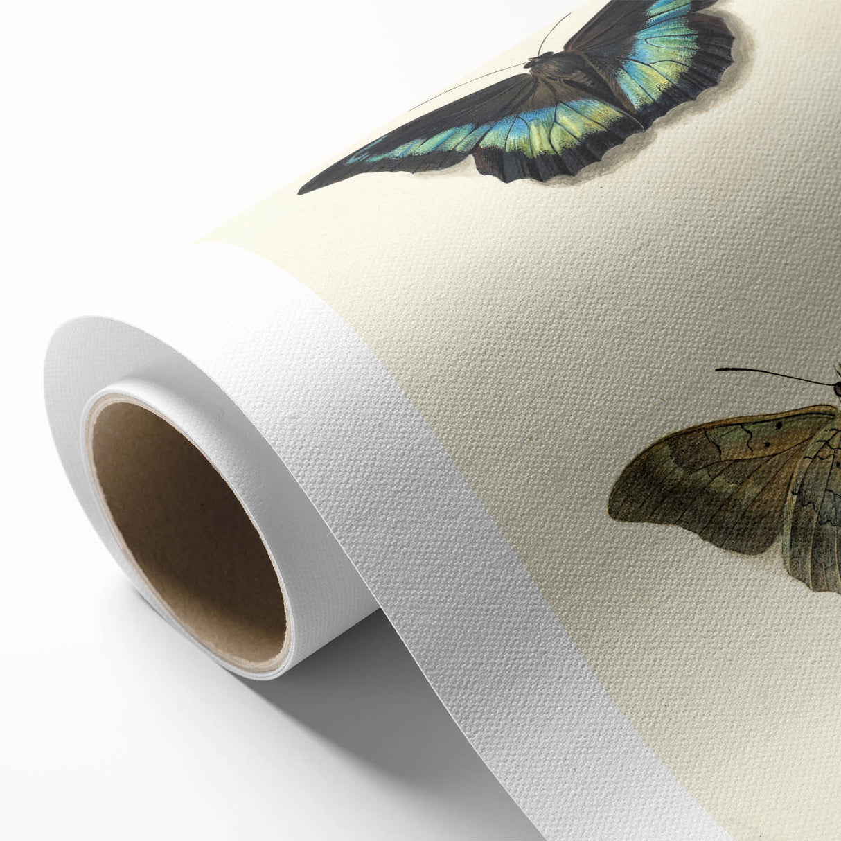 Blue and Beige Butterfly Grunge Art - Abstract Canvas Print Decor