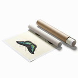 Blue and Beige Butterfly Grunge Art - Abstract Canvas Print Decor