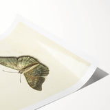 Blue and Beige Butterfly Grunge Art - Abstract Canvas Print Decor