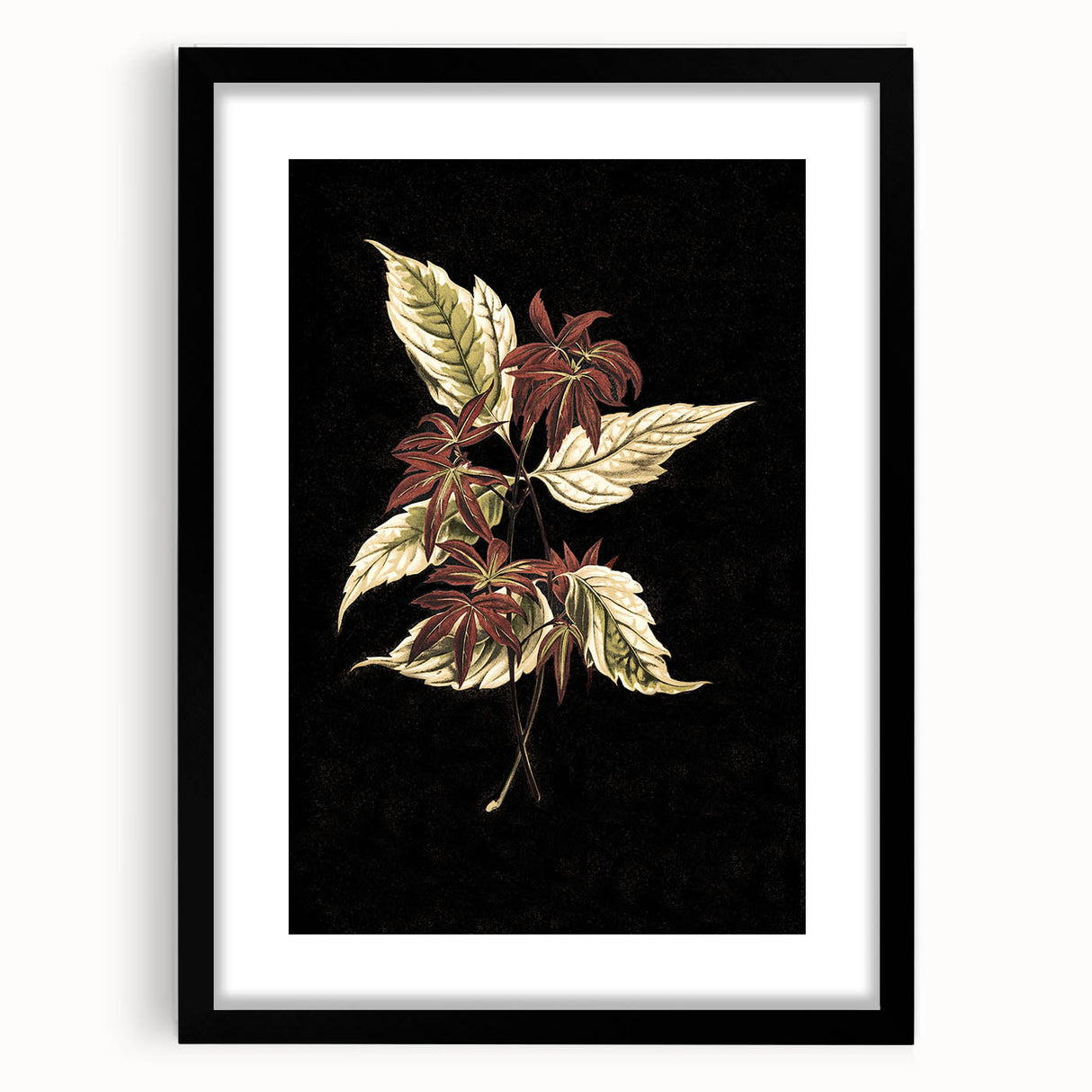 Botanical Grunge Art - Distressed Floral Canvas Print - Urban Decor