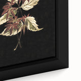 Botanical Grunge Art - Distressed Floral Canvas Print - Urban Decor