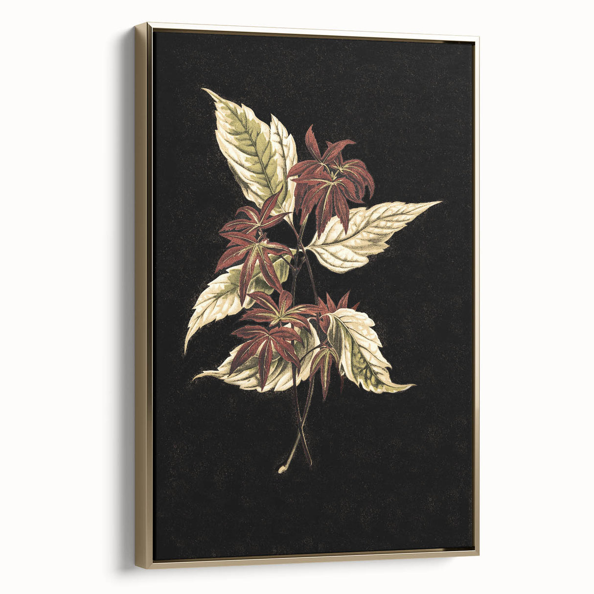 Botanical Grunge Art - Distressed Floral Canvas Print - Urban Decor