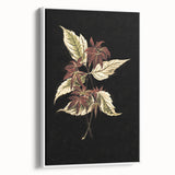 Botanical Grunge Art - Distressed Floral Canvas Print - Urban Decor