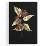Botanical Grunge Art - Distressed Floral Canvas Print - Urban Decor