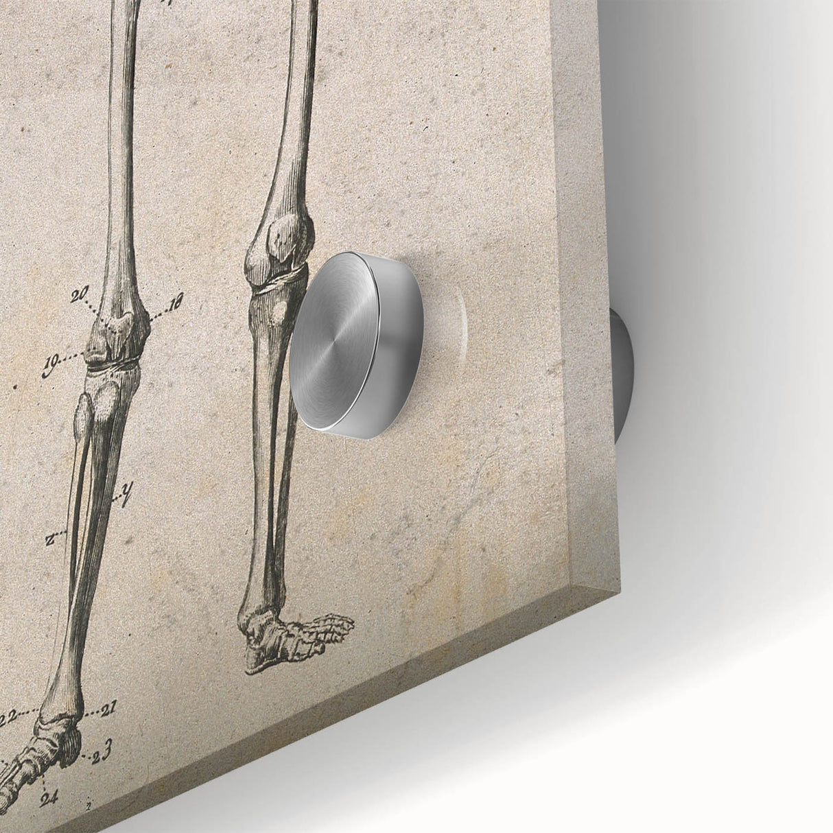 Abstract Grunge Skeleton Canvas Print - Modern Grunge Wall Art Decor