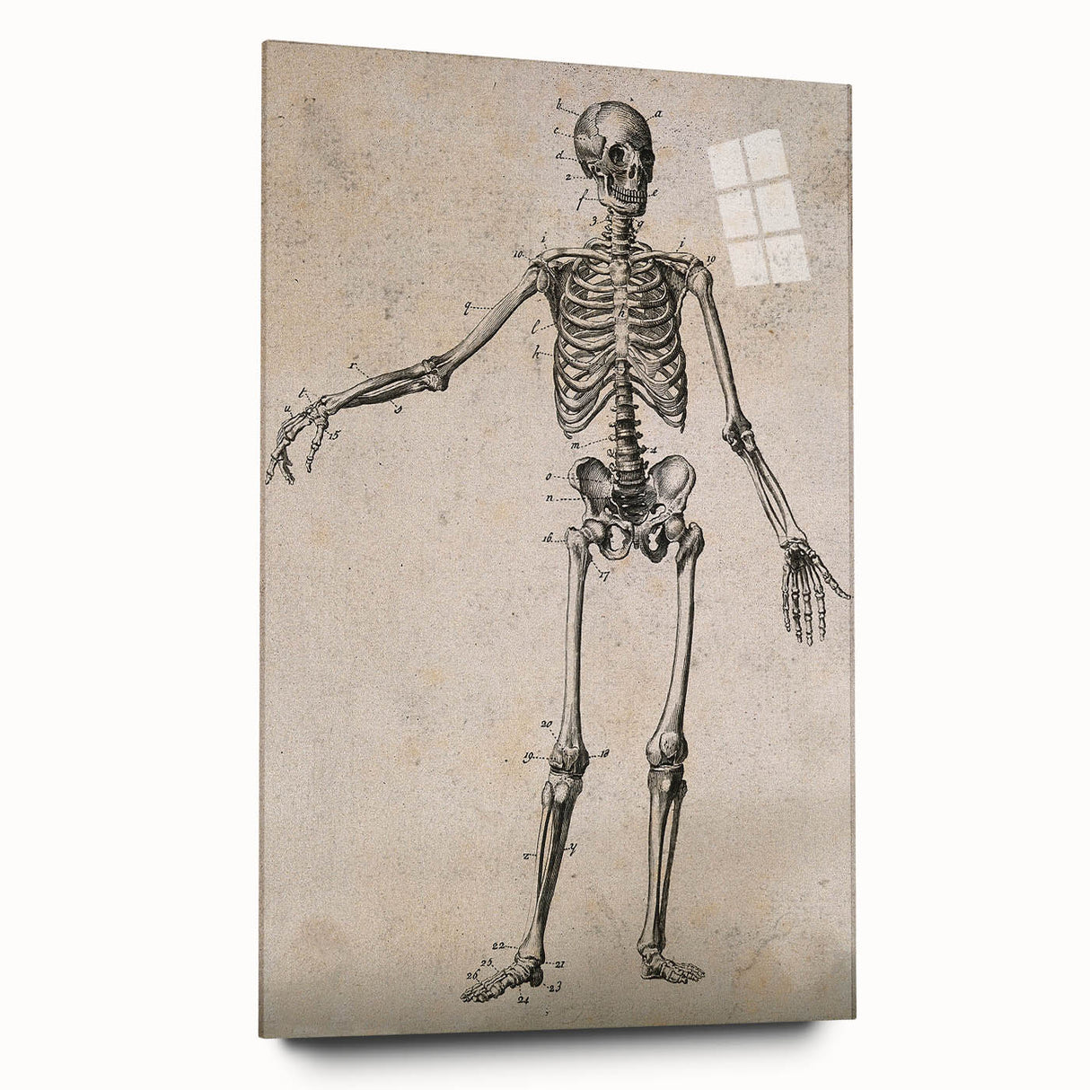 Abstract Grunge Skeleton Canvas Print - Modern Grunge Wall Art Decor