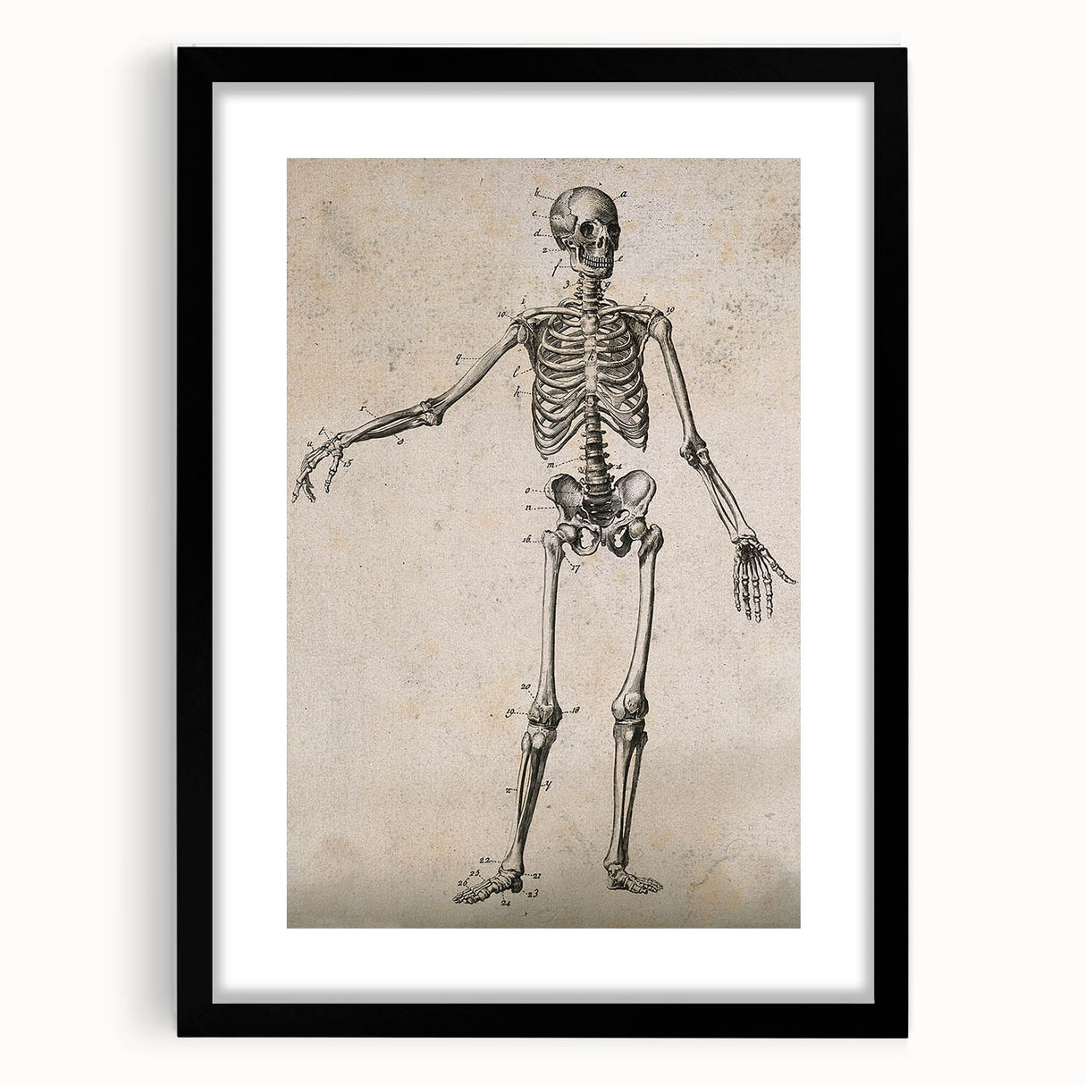 Abstract Grunge Skeleton Canvas Print - Modern Grunge Wall Art Decor