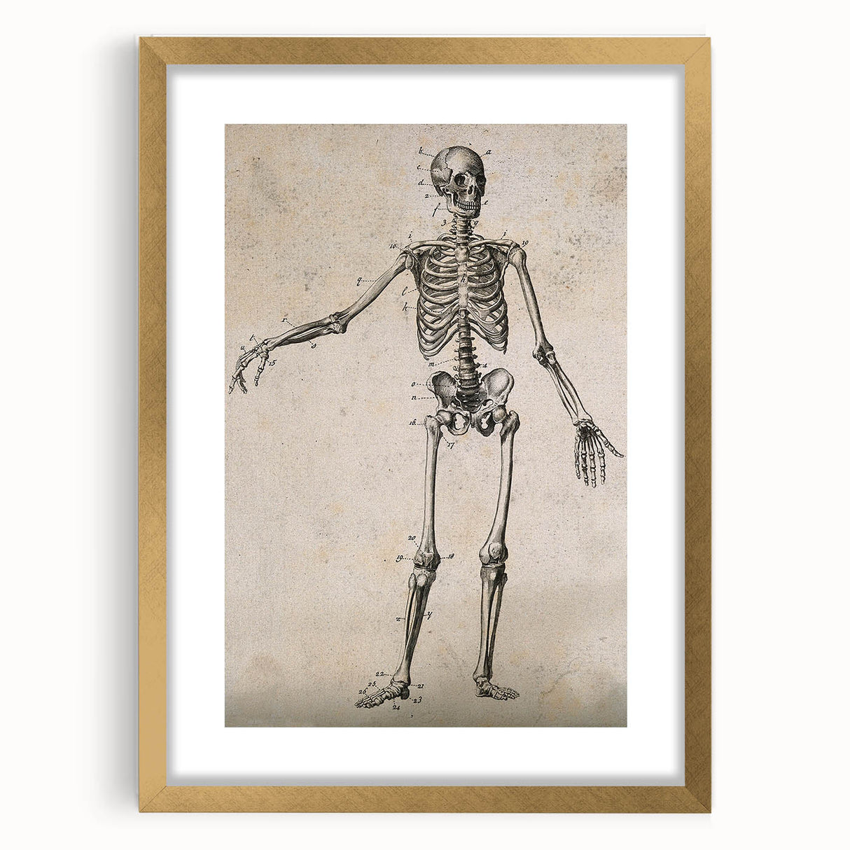 Abstract Grunge Skeleton Canvas Print - Modern Grunge Wall Art Decor