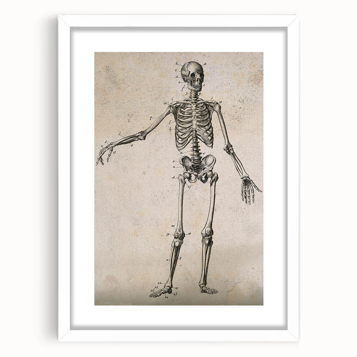 Abstract Grunge Skeleton Canvas Print - Modern Grunge Wall Art Decor