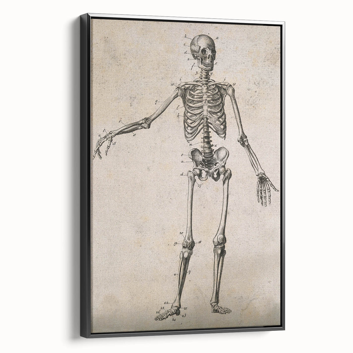 Abstract Grunge Skeleton Canvas Print - Modern Grunge Wall Art Decor