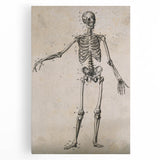 Abstract Grunge Skeleton Canvas Print - Modern Grunge Wall Art Decor