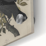 Grunge Wall Art - Vintage Raven Print on Stretched Canvas or Acrylic Glass